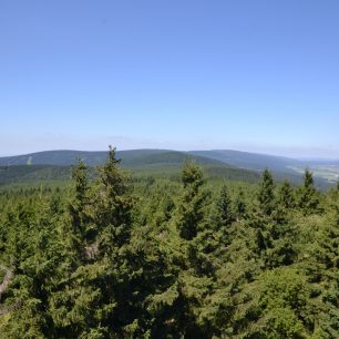 Výhledy na hřeben Orlických hor z Anenského vrchu.
