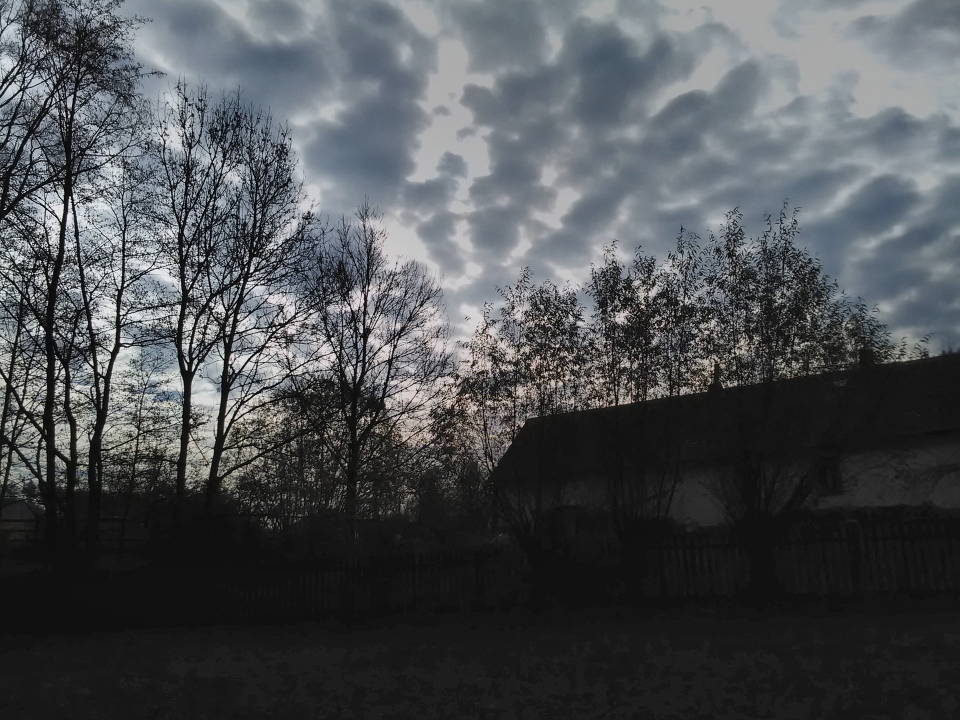 Fotoaparát telefonu odpovídá jeho zaměření, ve špatných světelných podmínkách není kvalita fotek ideální.