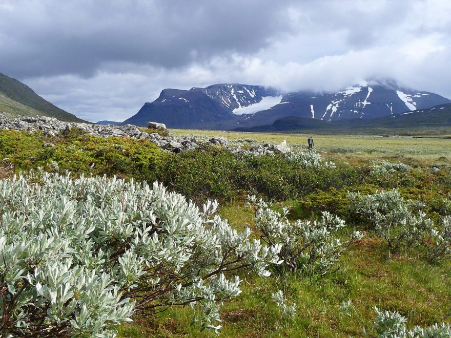 Švédský Sarek je ryzí divočina, žádné cesty, žádné kempy, jen drsná příroda.