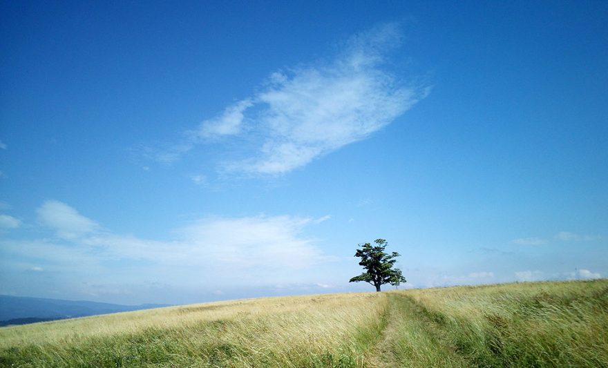 Foto z jízdy na kole - lokalita u Javoru ve Vsackých Beskydech, foto má lehký nádech do modra