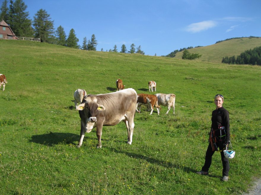 Po ránu cestou na ferraty mě kalhoty Salomon WAYFARER PANT W  krásně  ochránily před chladem.