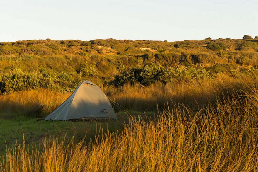 Noci pod stanem, Nový Zéland