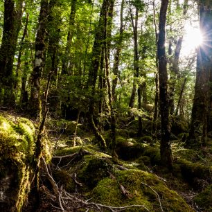 Rozmanitá krajina jižního ostrova Nového Zélandu vás uchvátí, Routeburn trek.