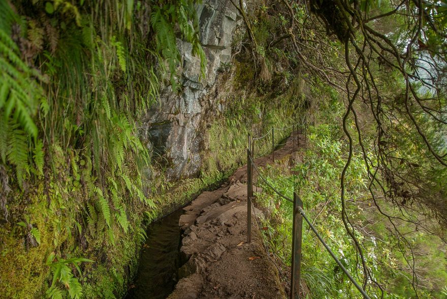 Trekování podél levád je jedním z unikátů ostrova Madeira.