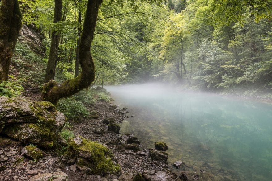 Trail Via Dinarica protíná podhůří Julských Alp ve Slovinsku, pohoří Velká Kapela a Velebit v Chorvatsku, Dinárské Alpy Bosny a Hercegoviny a Prokletije v Černé Hoře a Albánii. V budoucnu je plánováno protažení treku do Kosova a Makedonie. 