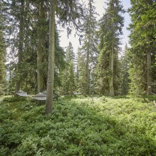 Pod korunami stromů je houpání v hamace ideálním relaxem. Waldwellness, Saalbach-Hinterglemm, Rakousko