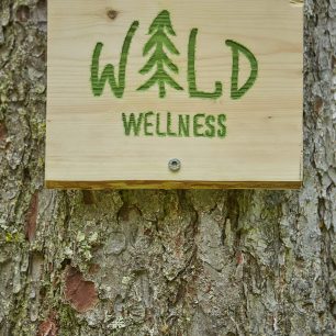 Waldwellness, Saalbach-Hinterglemm, Rakousko