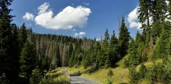 Liberec: přírodní koupání, naučná stezka a rozhledna