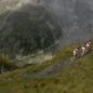 The North Face Ultra-Trail Du Mont Blanc 2012 + VIDEO