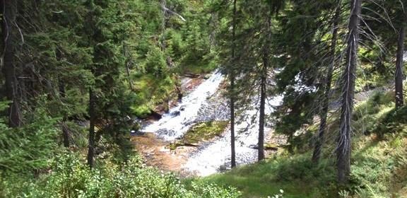 Vodopády na horním toku Labe – Pančavský, Labský, Malý Labský a Medvědínský