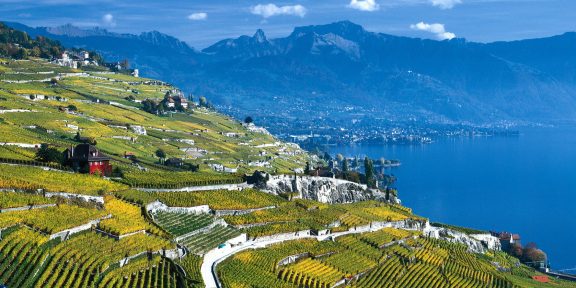 Lausanne – na kole po vinicích Lavaux