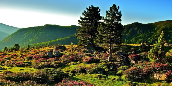 Jihorakouské pohoří Nockberge láká turisty na neporušenou přírodu
