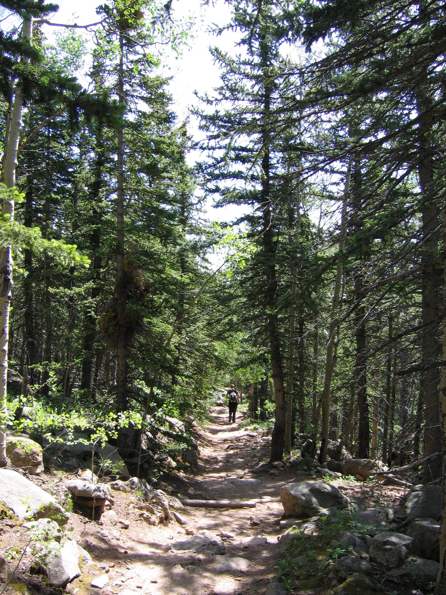 Barr trail
