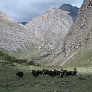 Trek Dolpo