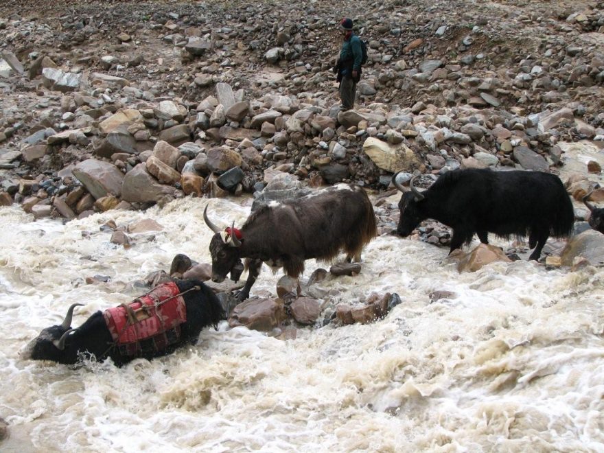 tohle se brodí před výstupem na Kagmara La, trek Dolpo