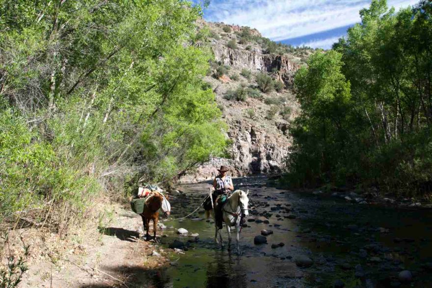 Na koních, Arizona