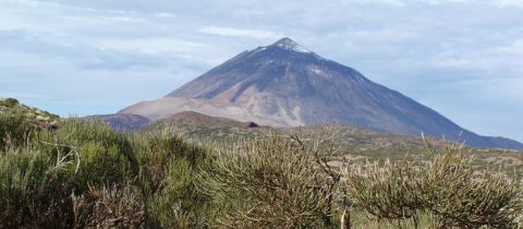 Trek NP Las Cañadas