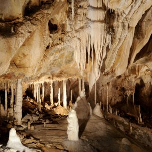 Suťový dóm stalagmitový les