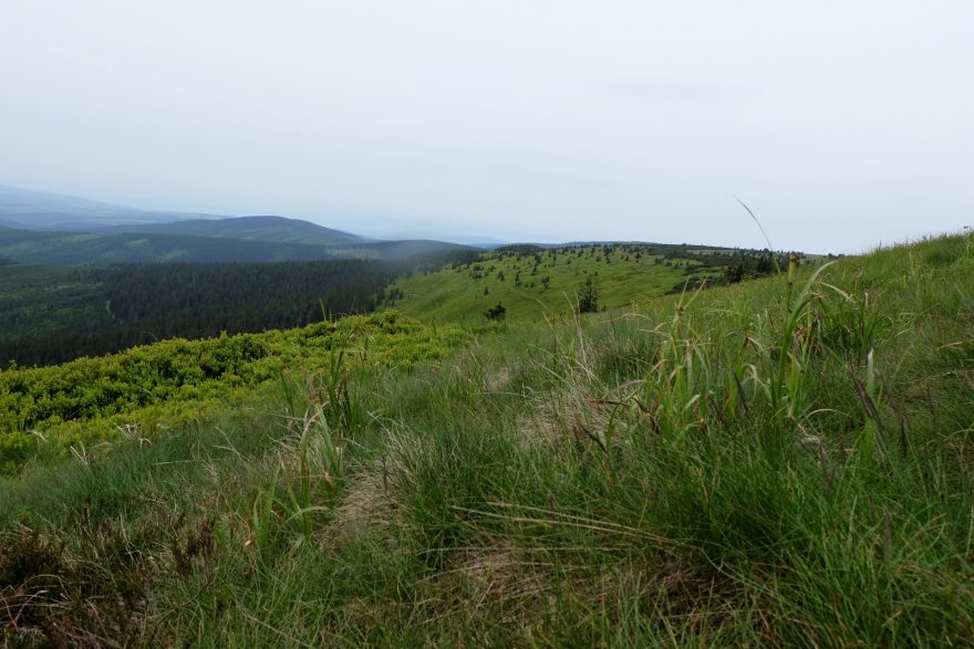 Z Vysoké hole a dalších vrcholů