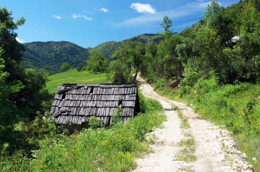 Cesta planinou, NP Tara, Srbsko