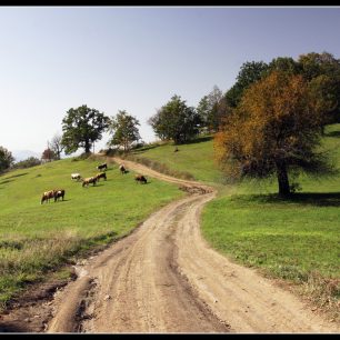 Cesta planinami na Djavolju Varoš