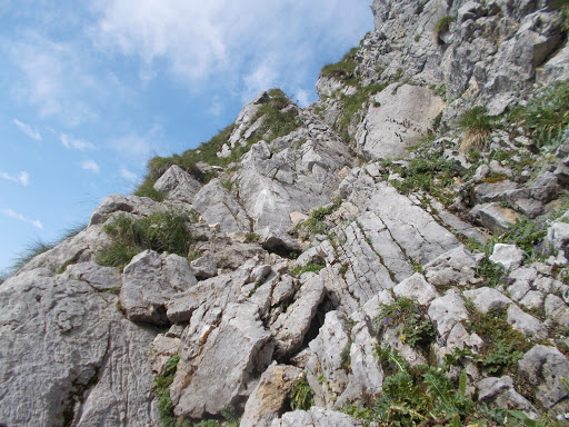 Lehký a členitý terén, foto: Lukáš Kožíšek